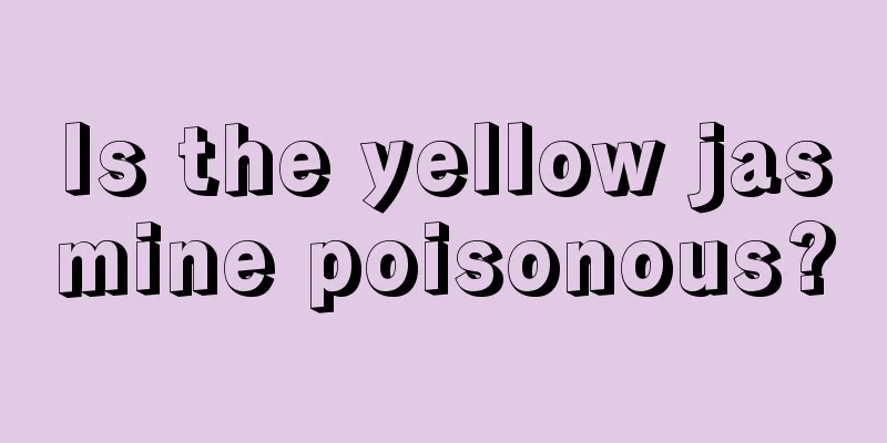 Is the yellow jasmine poisonous?