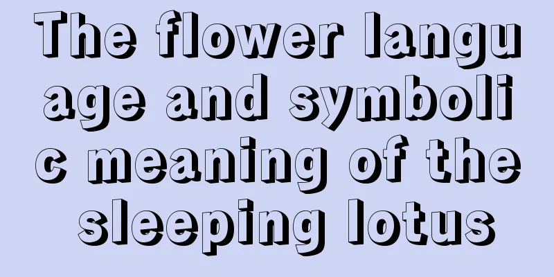 The flower language and symbolic meaning of the sleeping lotus