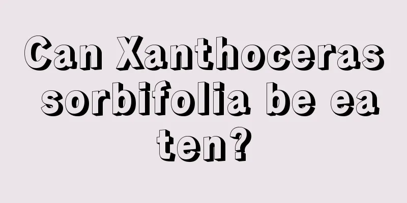 Can Xanthoceras sorbifolia be eaten?