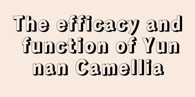 The efficacy and function of Yunnan Camellia