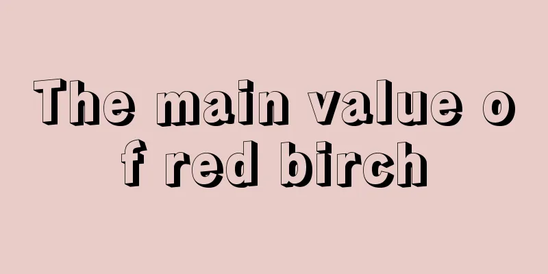 The main value of red birch