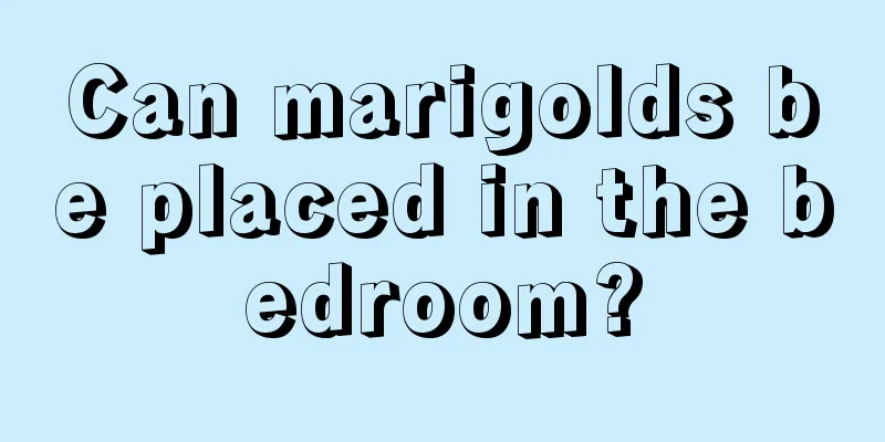 Can marigolds be placed in the bedroom?