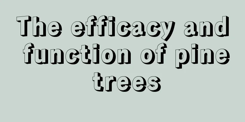 The efficacy and function of pine trees