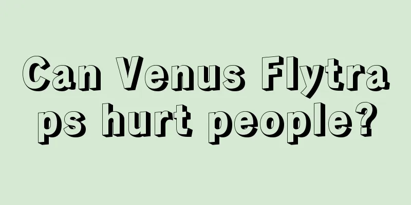 Can Venus Flytraps hurt people?