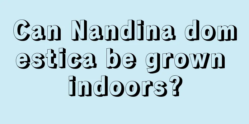 Can Nandina domestica be grown indoors?