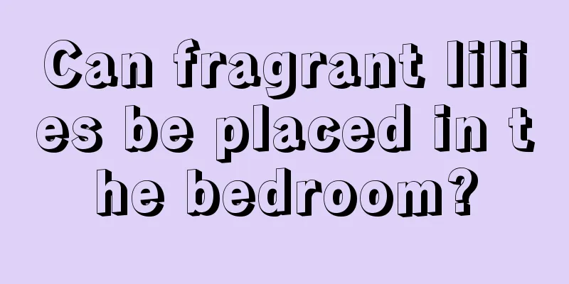 Can fragrant lilies be placed in the bedroom?