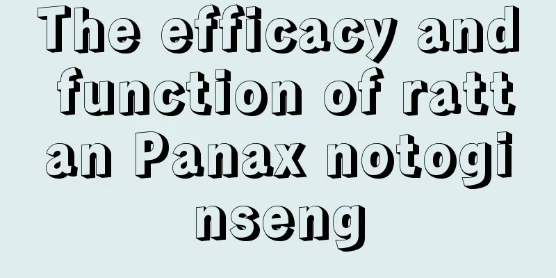 The efficacy and function of rattan Panax notoginseng