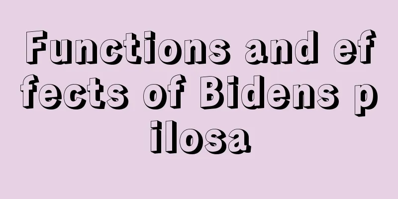 Functions and effects of Bidens pilosa