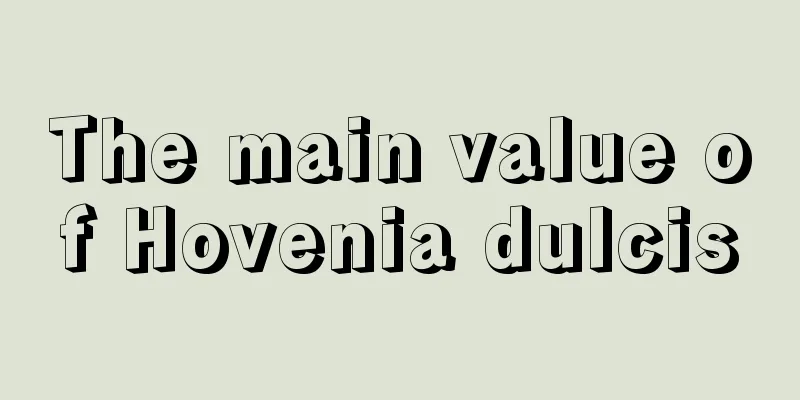 The main value of Hovenia dulcis