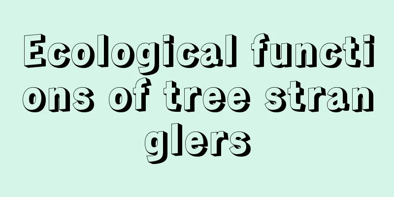 Ecological functions of tree stranglers