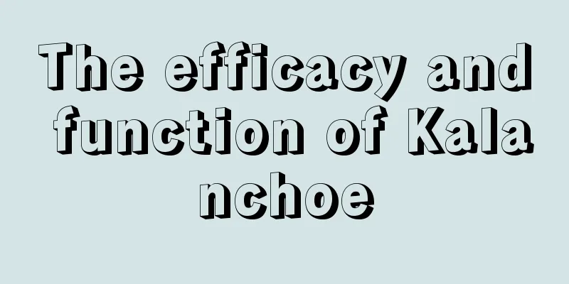 The efficacy and function of Kalanchoe