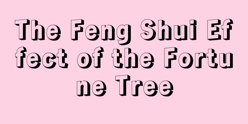 The Feng Shui Effect of the Fortune Tree