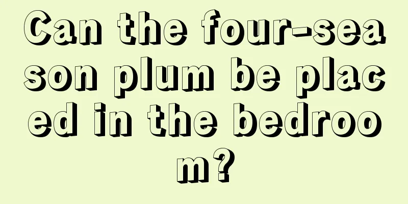 Can the four-season plum be placed in the bedroom?