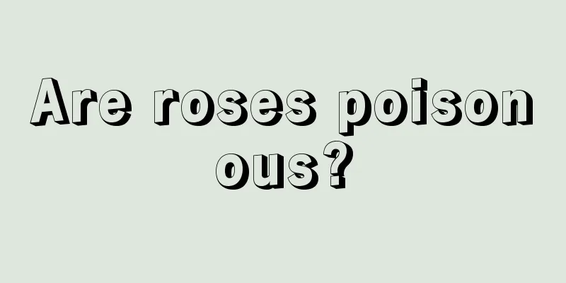 Are roses poisonous?