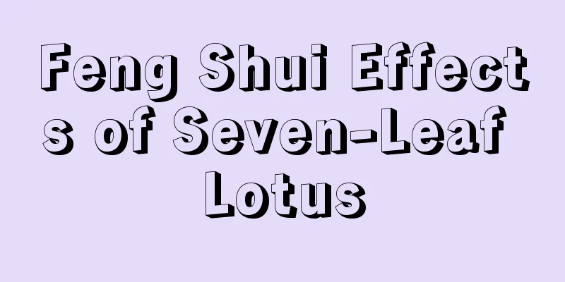 Feng Shui Effects of Seven-Leaf Lotus