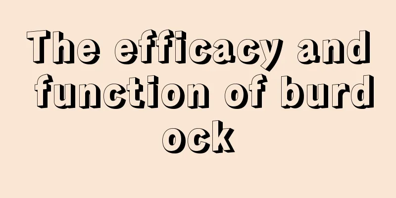 The efficacy and function of burdock