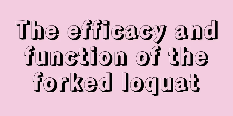 The efficacy and function of the forked loquat