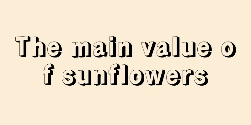 The main value of sunflowers