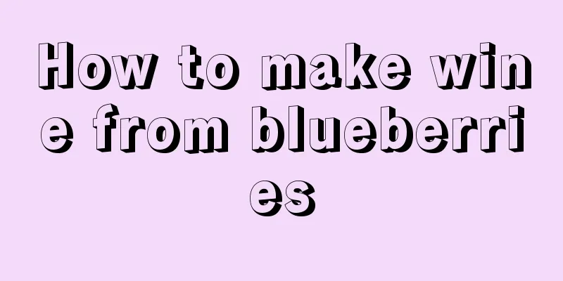 How to make wine from blueberries