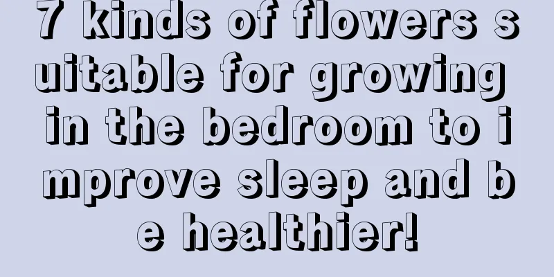 7 kinds of flowers suitable for growing in the bedroom to improve sleep and be healthier!