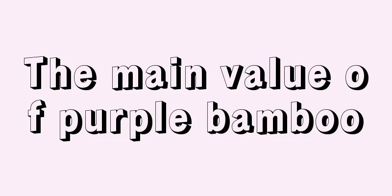 The main value of purple bamboo