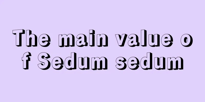 The main value of Sedum sedum