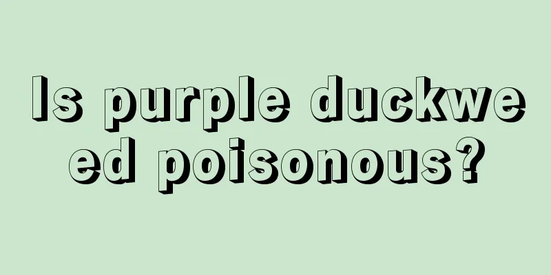 Is purple duckweed poisonous?