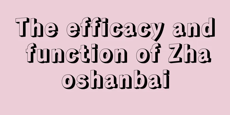 The efficacy and function of Zhaoshanbai