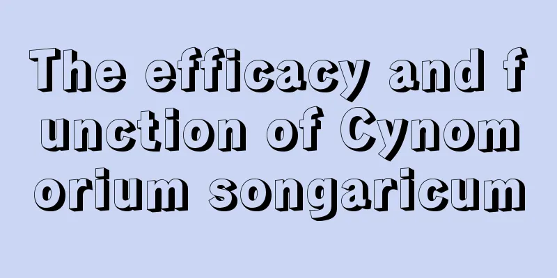 The efficacy and function of Cynomorium songaricum