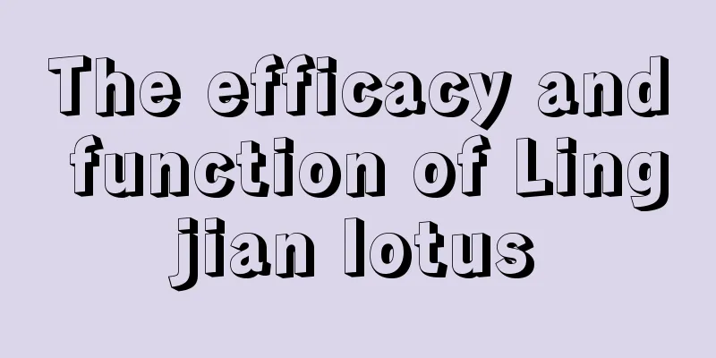 The efficacy and function of Lingjian lotus