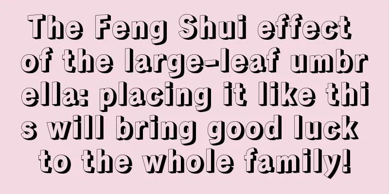 The Feng Shui effect of the large-leaf umbrella: placing it like this will bring good luck to the whole family!