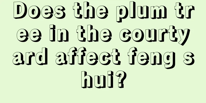 Does the plum tree in the courtyard affect feng shui?