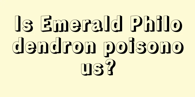 Is Emerald Philodendron poisonous?