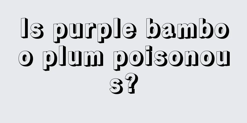 Is purple bamboo plum poisonous?