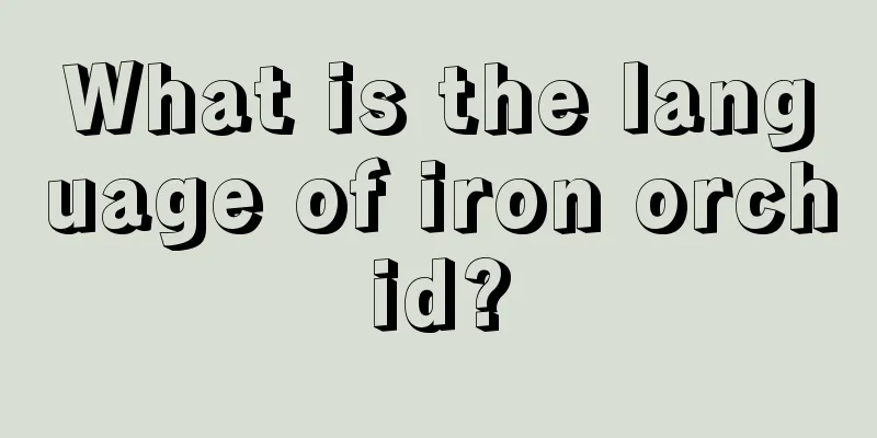 What is the language of iron orchid?