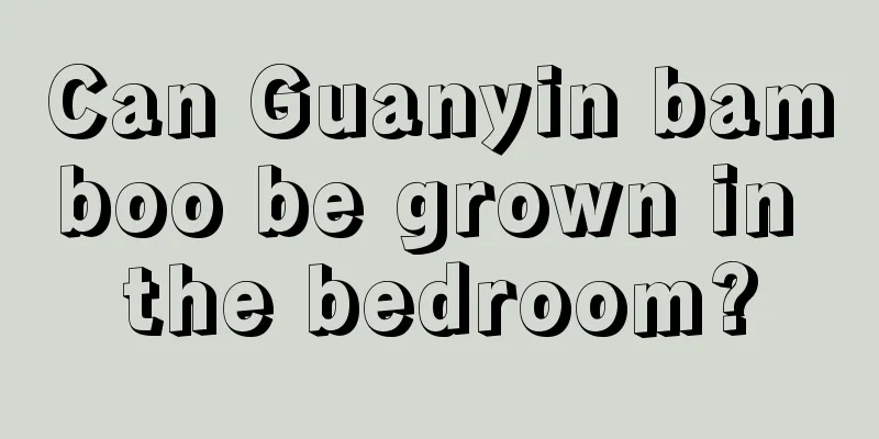 Can Guanyin bamboo be grown in the bedroom?