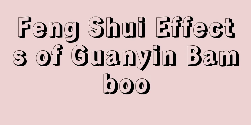 Feng Shui Effects of Guanyin Bamboo