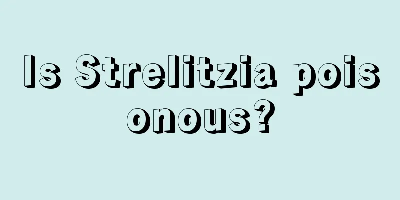 Is Strelitzia poisonous?