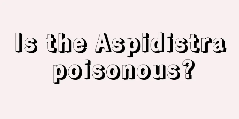 Is the Aspidistra poisonous?