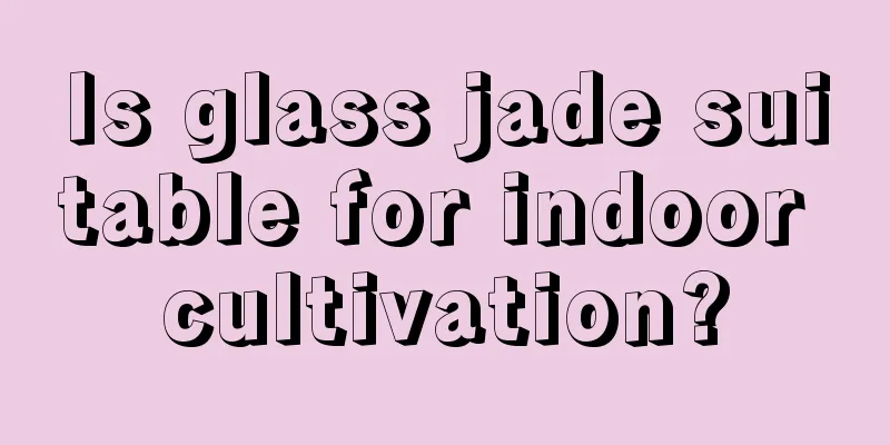 Is glass jade suitable for indoor cultivation?