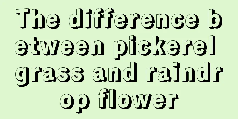 The difference between pickerel grass and raindrop flower