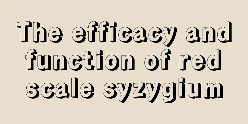 The efficacy and function of red scale syzygium