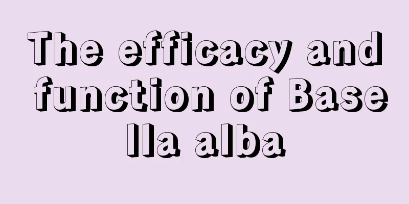 The efficacy and function of Basella alba