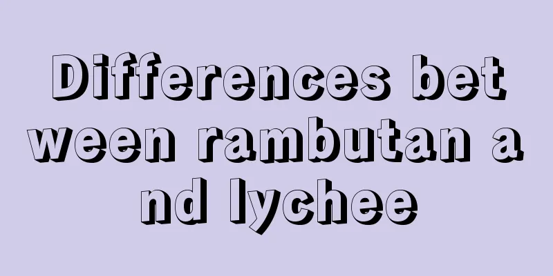 Differences between rambutan and lychee