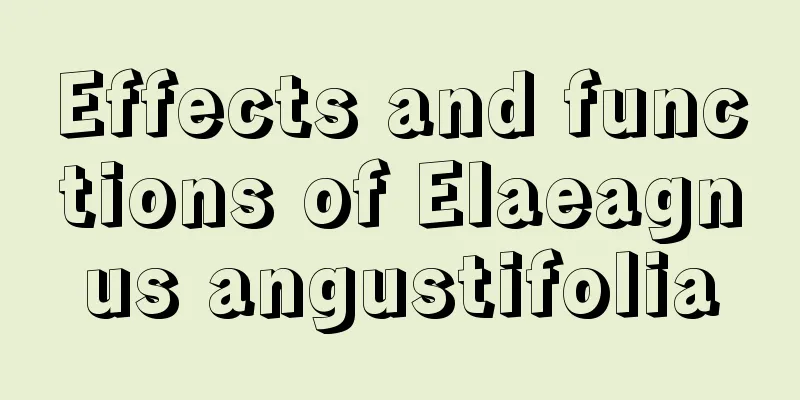 Effects and functions of Elaeagnus angustifolia