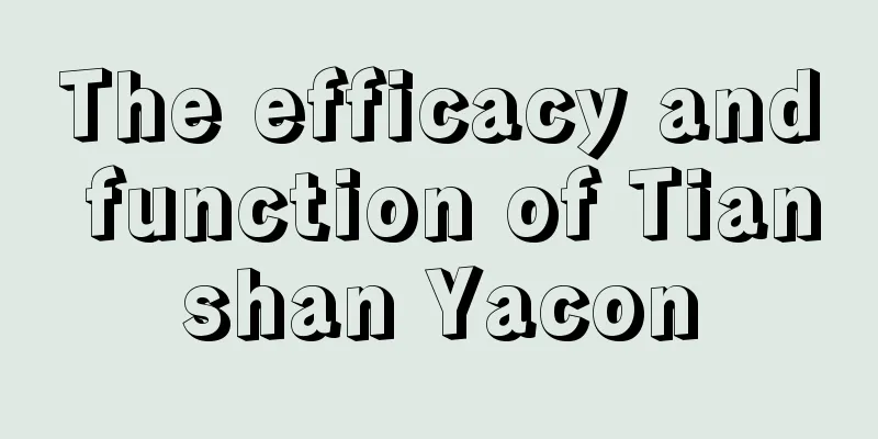 The efficacy and function of Tianshan Yacon