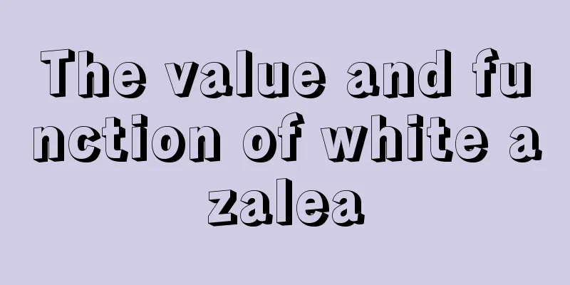 The value and function of white azalea