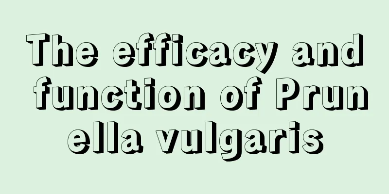 The efficacy and function of Prunella vulgaris