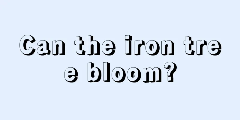 Can the iron tree bloom?