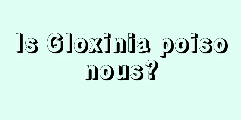 Is Gloxinia poisonous?